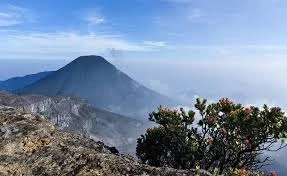 Gempa Vulkanik Meningkat, Gunung Gede Pangrango Ditutup untuk Pendakian