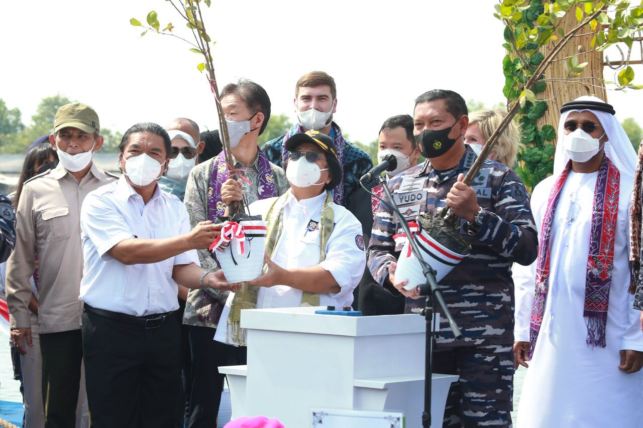 Pj Gubernur Banten, Menteri LHK dan KSAL Kompak Tanam Mangrove di Pantai Tanjung Pasir Tangerang