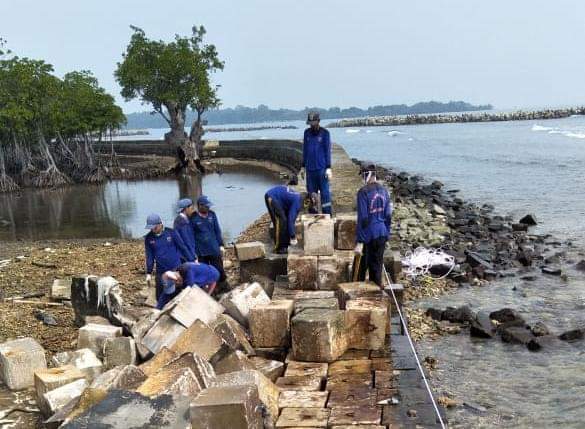 Kena Abrasi, Pasukan Biru Sigap Benahi Tanggul Pulau Untung Jawa