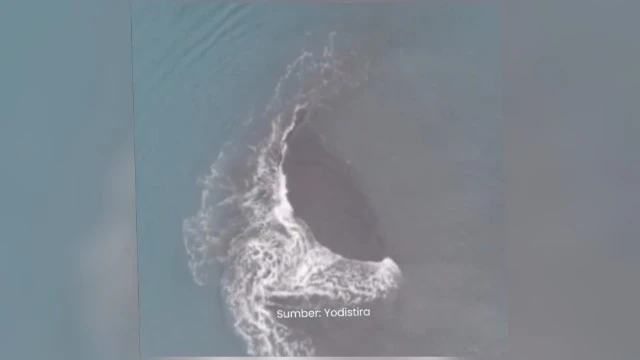 Daratan Baru Seluas 30,3 Hektar Muncul Pasca Erupsi Anak Krakatau, Ini Penjelasan Pakar