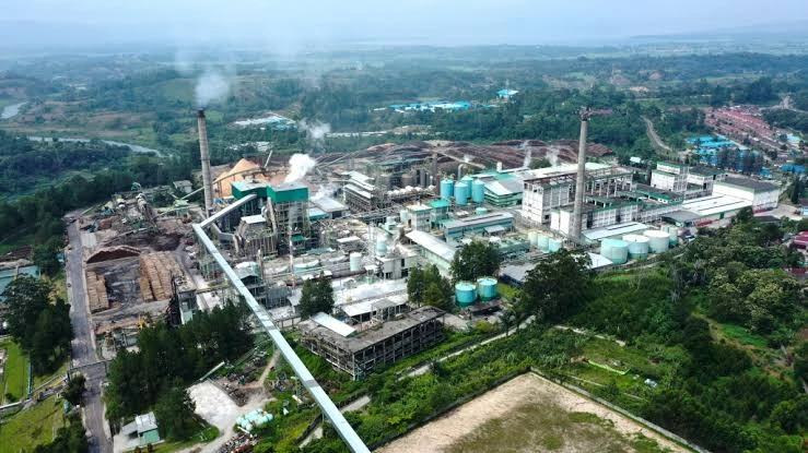 Dampak Banjir Sumatera, Pemerintah Hentikan Sementara Operasional PT Toba Pulp Lestari