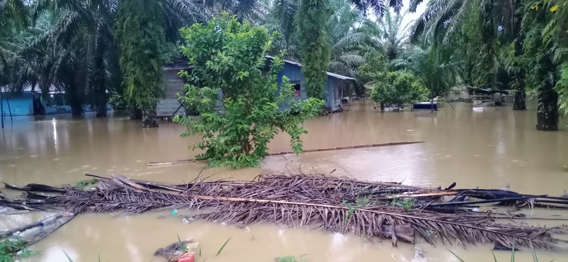 Puluhan Rumah di Aceh Singkil Terendam Banjir