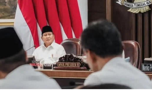 Prabowo Minta Tim Desain IKN Studi Banding ke Mesir, Turki dan India
