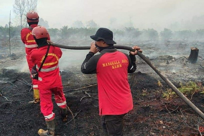 Pemprov Riau Minta Perusahaan Perkebunan Lakukan Tindakan Preventif Atasi Kebakaran Lahan
